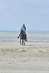 WEG-EnduranceRace-8-28-14-0003626-DDeRosaPhoto