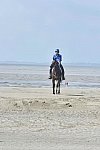 WEG-EnduranceRace-8-28-14-0003628-DDeRosaPhoto