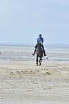 WEG-EnduranceRace-8-28-14-0003629-DDeRosaPhoto