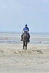 WEG-EnduranceRace-8-28-14-0003641-DDeRosaPhoto