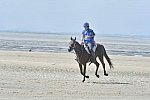 WEG-EnduranceRace-8-28-14-0003656-DDeRosaPhoto