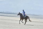 WEG-EnduranceRace-8-28-14-0003660-DDeRosaPhoto