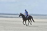 WEG-EnduranceRace-8-28-14-0003661-DDeRosaPhoto