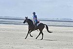 WEG-EnduranceRace-8-28-14-0003663-DDeRosaPhoto