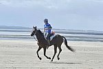 WEG-EnduranceRace-8-28-14-0003665-DDeRosaPhoto