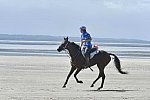 WEG-EnduranceRace-8-28-14-0003667-DDeRosaPhoto