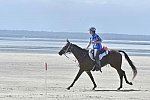 WEG-EnduranceRace-8-28-14-0003669-DDeRosaPhoto