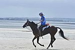 WEG-EnduranceRace-8-28-14-0003674-DDeRosaPhoto
