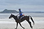 WEG-EnduranceRace-8-28-14-0003680-DDeRosaPhoto