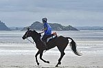 WEG-EnduranceRace-8-28-14-0003682-DDeRosaPhoto