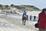 WEG-EnduranceRace-8-28-14-0003710-DDeRosaPhoto