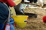 WEG2-Endurance-8-28-14-6521-DDeRosaPhoto