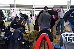 WEG2-Endurance-8-28-14-6707-DDeRosaPhoto