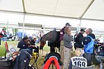 WEG2-Endurance-8-28-14-6736-DDeRosaPhoto