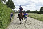 WEG-Endurance-8-24-14-0003643-DDeRosaPhoto