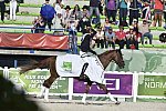 WEG-EventingSJ-8-31-14-0003083-DDeRosaPhoto