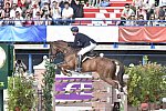 WEG-EventingSJ-8-31-14-0002901-WilliamFox-Pitt-ChilliMorning-GBR-DDeRosaPhoto
