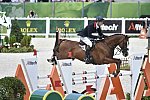 WEG-EventingSJ-8-31-14-0002914-WilliamFox-Pitt-ChilliMorning-GBR-DDeRosaPhoto
