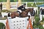 WEG-EventingSJ-8-31-14-0002916-WilliamFox-Pitt-ChilliMorning-GBR-DDeRosaPhoto