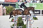 WEG-EventingSJ-8-31-14-0002918-WilliamFox-Pitt-ChilliMorning-GBR-DDeRosaPhoto