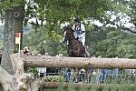 WEG1-Eventing-8-30-14-0008475-WilliamFox-Pitt-ChilliMorning-GBR-DDeRosaPhoto