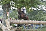 WEG1-Eventing-8-30-14-0008477-WilliamFox-Pitt-ChilliMorning-GBR-DDeRosaPhoto