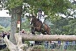 WEG1-Eventing-8-30-14-0008478-WilliamFox-Pitt-ChilliMorning-GBR-DDeRosaPhoto