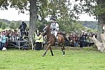 WEG1-Eventing-8-30-14-0008483-WilliamFox-Pitt-ChilliMorning-GBR-DDeRosaPhoto