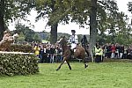 WEG1-Eventing-8-30-14-0008486-WilliamFox-Pitt-ChilliMorning-GBR-DDeRosaPhoto