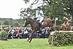 WEG1-Eventing-8-30-14-0008492-WilliamFox-Pitt-ChilliMorning-GBR-DDeRosaPhoto