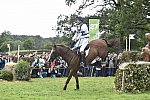 WEG1-Eventing-8-30-14-0008493-WilliamFox-Pitt-ChilliMorning-GBR-DDeRosaPhoto
