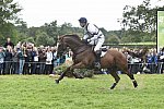 WEG1-Eventing-8-30-14-0008496-WilliamFox-Pitt-ChilliMorning-GBR-DDeRosaPhoto