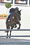 WEG-EventingSJ-8-31-14-0002866-SandraAuffarth-OpgunLouvo-GER-DDeRosaPhoto