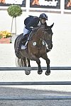 WEG-EventingSJ-8-31-14-0002867-SandraAuffarth-OpgunLouvo-GER-DDeRosaPhoto