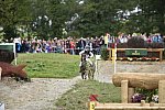 WEG2-Eventing-8-30-14-0000172-SandraAuffarth-OpgunLouvo-SaqndraAuffarth-OpgunLouvo-GER-DDeRosaPhoto