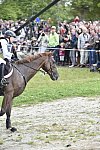 WEG2-Eventing-8-30-14-0000206-SandraAuffarth-OpgunLouvo-GER-DDeRosaPhoto