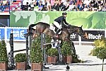 WEG-EventingSJ-8-31-14-0002836-MichaelJung-FischerrocanaFST-GER-DDeRosaPhoto