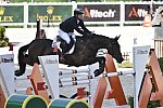 WEG-EventingSJ-8-31-14-0002844-MichaelJung-FischerrocanaFST-GER-DDeRosaPhoto