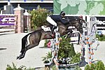 WEG-EventingSJ-8-31-14-0002847-MichaelJung-FischerrocanaFST-GER-DDeRosaPhoto