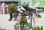 WEG-EventingSJ-8-31-14-0002848-MichaelJung-FischerrocanaFST-GER-DDeRosaPhoto