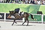 WEG-EventingSJ-8-31-14-0002852-MichaelJung-FischerrocanaFST-GER-DDeRosaPhoto