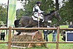 WEG1-Eventing-8-30-14-0007632-MichaelJung-FischerrocanaFST-GER-DDeRosaPhoto