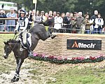 Boyd Martin