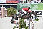 WEG-EventingSJ-8-31-14-0002706-BoydMartin-Shamwari4-USA-DDeRosaPhoto