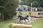 WEG1-Eventing-8-30-14-0009563-BoydMartin-Shamwari4-USA-DDeRosaPhoto