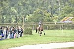 WEG1-Eventing-8-30-14-0006954-BuckDavidsonJr-BallynoeCastleRM-USA-osaPhoto