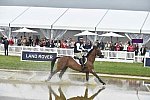 WEG1-Eventing-8-30-14-0007008-BuckDavidsonJr-BallynoeCastleRM-USA-osaPhoto