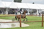 WEG1-Eventing-8-30-14-0007015-BuckDavidsonJr-BallynoeCastleRM-USA-osaPhoto