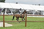 WEG1-Eventing-8-30-14-0007016-BuckDavidsonJr-BallynoeCastleRM-USA-osaPhoto