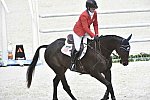 WEG-EventingSJ-8-31-14-0002155-KimberlySeverson-FernhillFearless-USA-DDeRosaPhoto